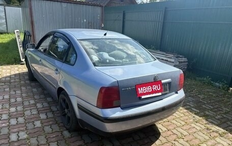 Volkswagen Passat B5+ рестайлинг, 1999 год, 400 000 рублей, 4 фотография