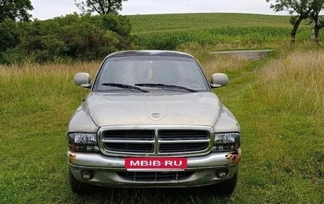 Dodge Dakota III рестайлинг, 1998 год, 450 000 рублей, 3 фотография