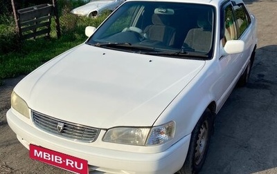Toyota Corolla, 1999 год, 250 000 рублей, 1 фотография