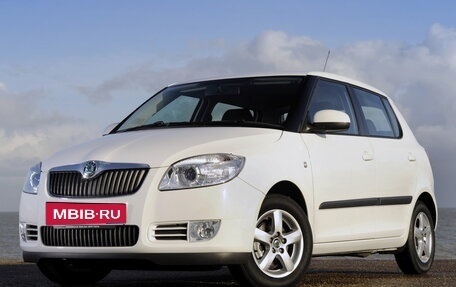 Skoda Fabia II, 2009 год, 590 000 рублей, 1 фотография