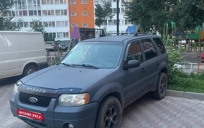 Ford Escape II, 2004 год, 350 000 рублей, 1 фотография