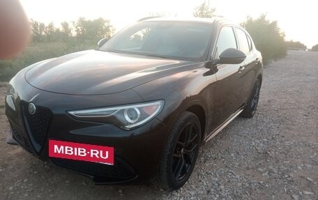 Alfa Romeo Stelvio, 2020 год, 3 400 000 рублей, 7 фотография