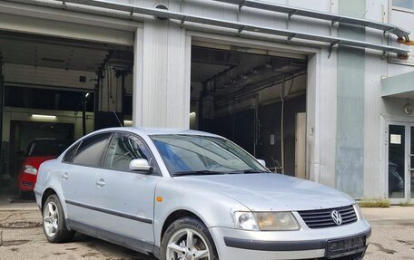 Volkswagen Passat B5+ рестайлинг, 1997 год, 229 000 рублей, 1 фотография
