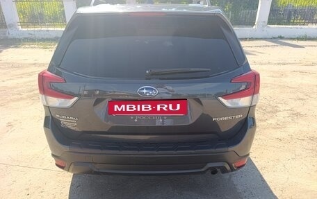 Subaru Forester, 2019 год, 2 550 000 рублей, 3 фотография