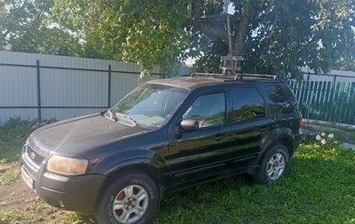 Ford Escape II, 2001 год, 300 000 рублей, 1 фотография