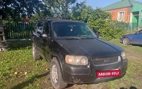 Ford Escape II, 2001 год, 300 000 рублей, 2 фотография