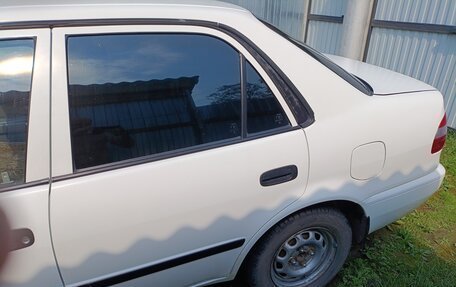 Toyota Corolla, 1999 год, 300 000 рублей, 1 фотография