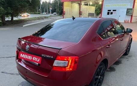Skoda Octavia, 2017 год, 1 500 000 рублей, 4 фотография