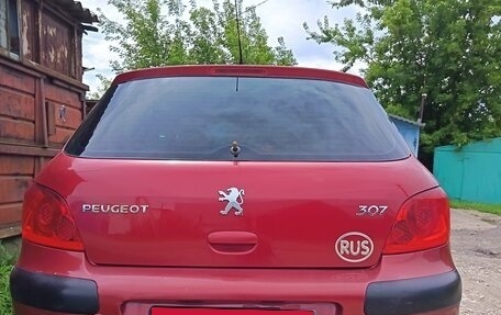 Peugeot 307 I, 2007 год, 335 000 рублей, 6 фотография