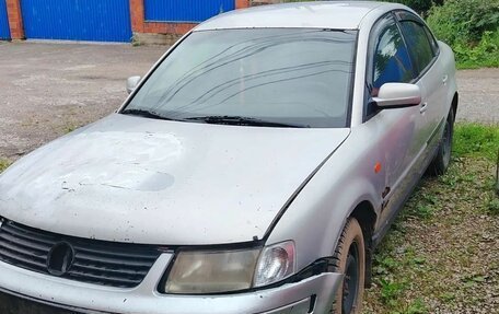 Volkswagen Passat B5+ рестайлинг, 1998 год, 99 999 рублей, 5 фотография