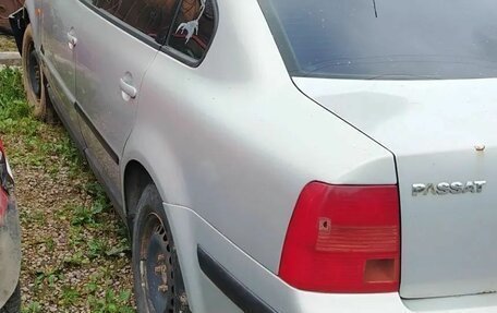 Volkswagen Passat B5+ рестайлинг, 1998 год, 99 999 рублей, 4 фотография