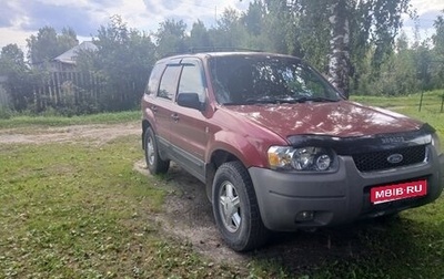 Ford Escape II, 2003 год, 700 000 рублей, 1 фотография