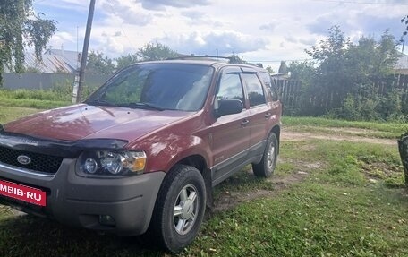 Ford Escape II, 2003 год, 700 000 рублей, 2 фотография