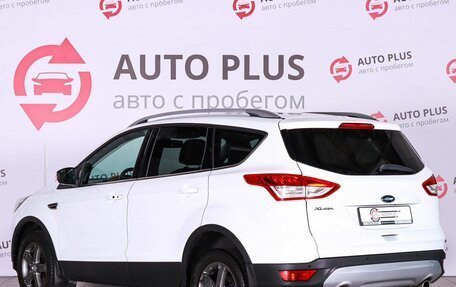 Ford Kuga III, 2013 год, 1 269 000 рублей, 3 фотография