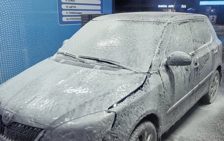 Skoda Fabia II, 2010 год, 430 000 рублей, 3 фотография