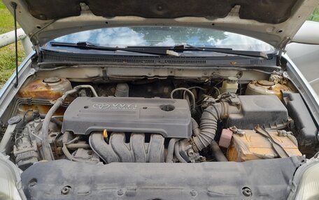 Toyota Corolla, 2006 год, 460 000 рублей, 4 фотография