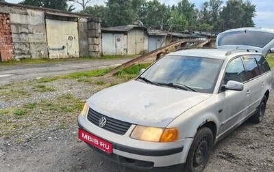 Volkswagen Passat B5+ рестайлинг, 1998 год, 300 000 рублей, 1 фотография
