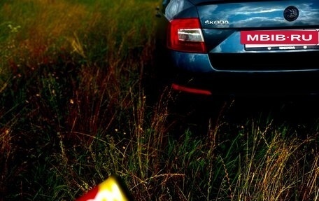 Skoda Octavia, 2014 год, 1 000 000 рублей, 10 фотография