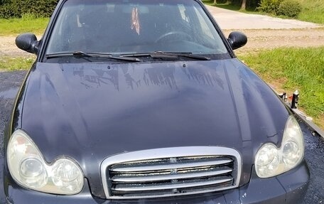 Hyundai Sonata IV рестайлинг, 2009 год, 350 000 рублей, 1 фотография