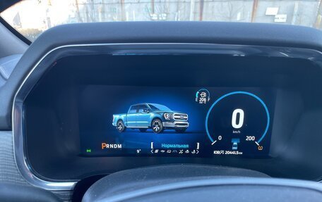 Ford F-150, 2021 год, 10 000 000 рублей, 19 фотография