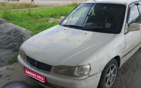 Toyota Corolla, 1999 год, 150 000 рублей, 1 фотография