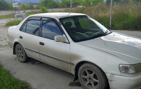 Toyota Corolla, 1999 год, 150 000 рублей, 5 фотография
