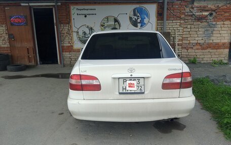 Toyota Corolla, 1999 год, 150 000 рублей, 2 фотография