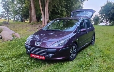 Peugeot 307 I, 2006 год, 350 000 рублей, 1 фотография