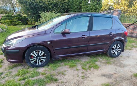 Peugeot 307 I, 2006 год, 350 000 рублей, 4 фотография