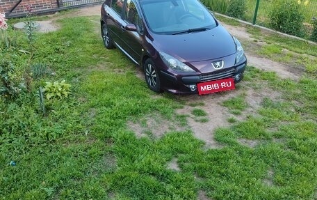 Peugeot 307 I, 2006 год, 350 000 рублей, 6 фотография