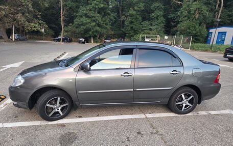 Toyota Corolla, 2004 год, 550 000 рублей, 4 фотография