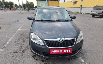 Skoda Fabia II, 2010 год, 495 000 рублей, 1 фотография