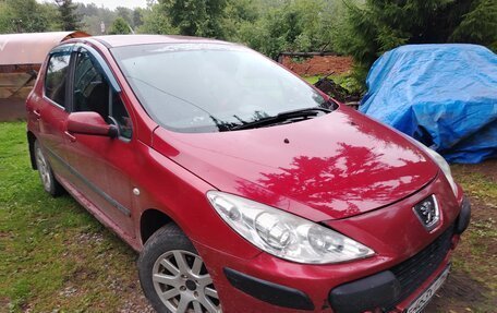 Peugeot 307 I, 2006 год, 250 000 рублей, 8 фотография
