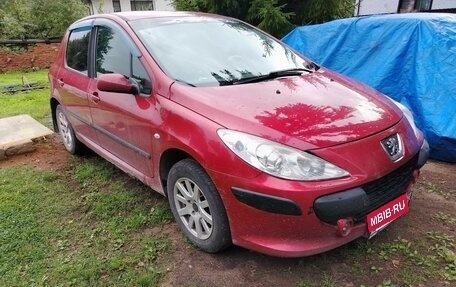 Peugeot 307 I, 2006 год, 250 000 рублей, 5 фотография