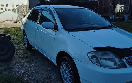Toyota Corolla, 2001 год, 530 000 рублей, 1 фотография