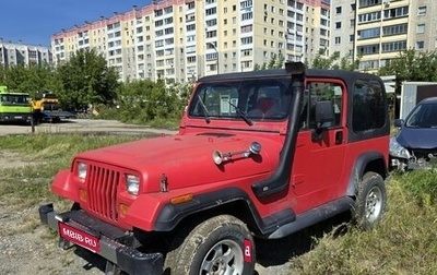 Jeep Wrangler, 1993 год, 990 000 рублей, 1 фотография