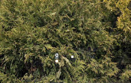 Haval F7, 2026 год, 3 199 000 рублей, 20 фотография