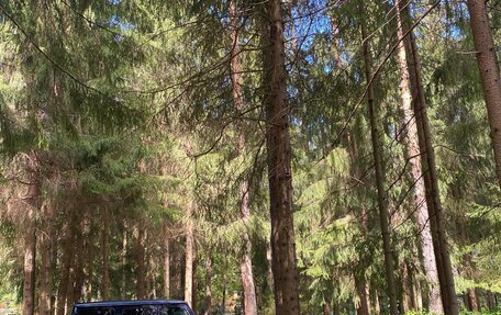 Mercedes-Benz G-Класс W463 рестайлинг _iii, 2019 год, 11 500 000 рублей, 4 фотография