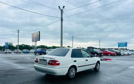 Toyota Corolla, 1997 год, 349 000 рублей, 6 фотография