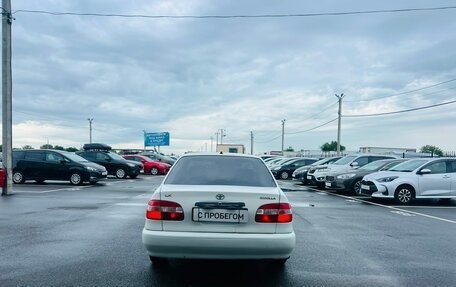 Toyota Corolla, 1997 год, 349 000 рублей, 5 фотография