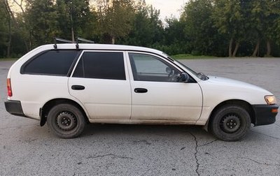 Toyota Corolla, 1996 год, 280 000 рублей, 1 фотография