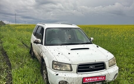 Subaru Forester, 2003 год, 790 000 рублей, 1 фотография