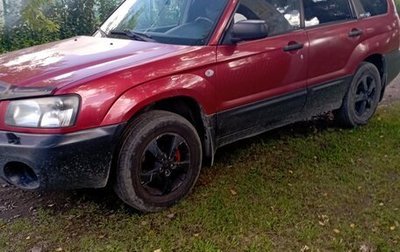 Subaru Forester, 2004 год, 515 000 рублей, 1 фотография