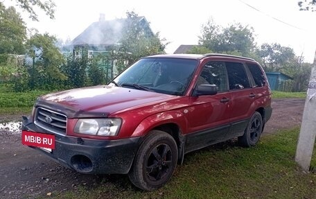 Subaru Forester, 2004 год, 515 000 рублей, 2 фотография
