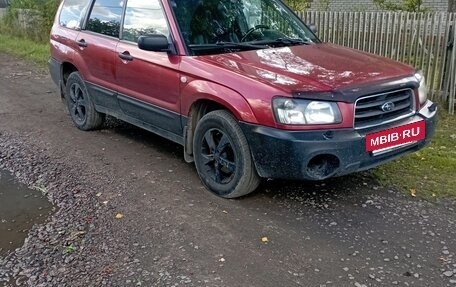 Subaru Forester, 2004 год, 515 000 рублей, 3 фотография