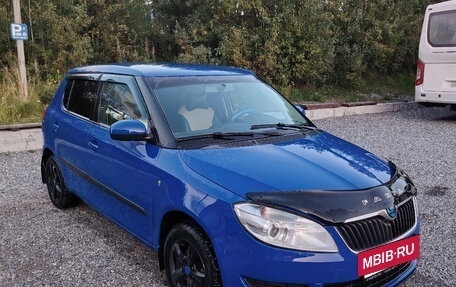 Skoda Fabia II, 2009 год, 295 000 рублей, 3 фотография