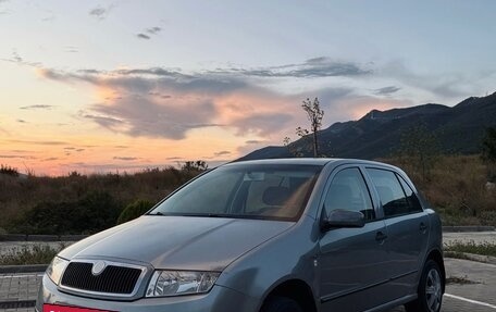 Skoda Fabia I, 2001 год, 300 000 рублей, 8 фотография