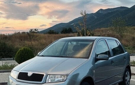 Skoda Fabia I, 2001 год, 300 000 рублей, 10 фотография