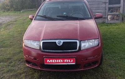 Skoda Fabia I, 2005 год, 300 000 рублей, 1 фотография
