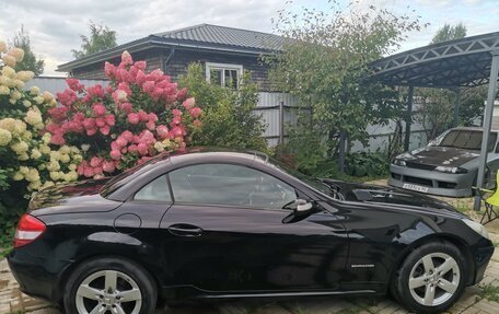 Mercedes-Benz SLK-Класс, 2004 год, 1 270 000 рублей, 15 фотография